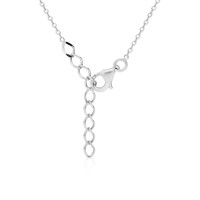 Naszyjnik Srebrny pr 925 Cyrkonia
ZAS0108S-S0091